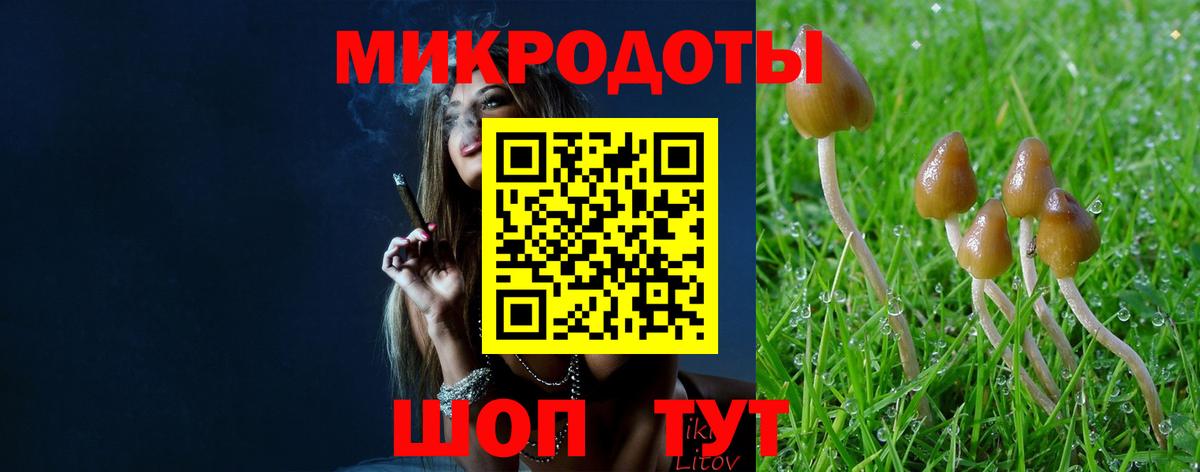 Галлюциногенные грибы Psilocybine cubensis  Вход с VPN  Конаково 